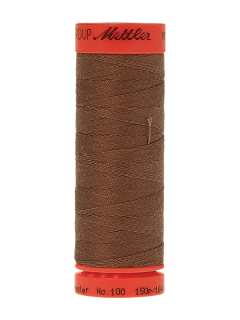 0387 Brown Mushroom