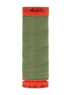 0236 Green Asparagus