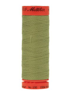 1098 Kiwi