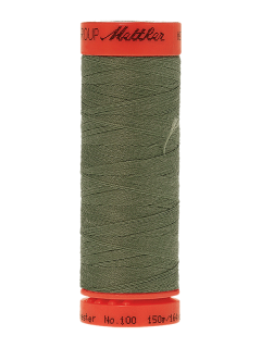 0646 Palm Leaf