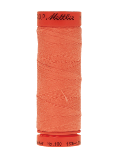 0135 Salmon