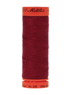 0106 Winterberry