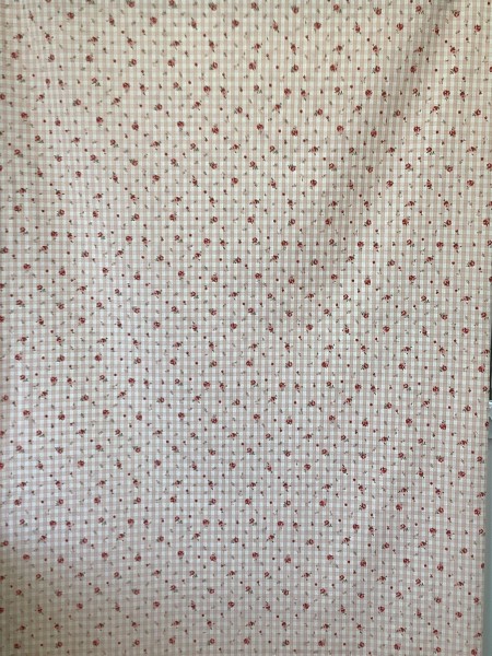 19811 Cotton Mar 5762 Peach