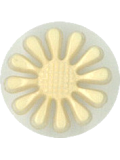 Button 242