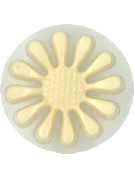 Button 242