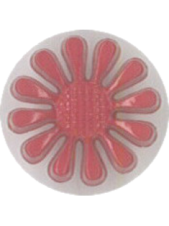 Button 243