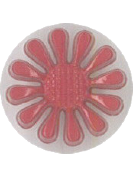 Button 243