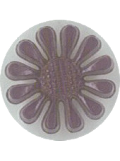 Button 244