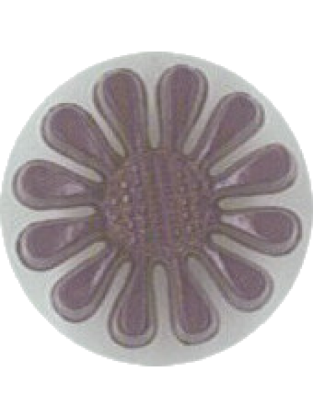 Button 244