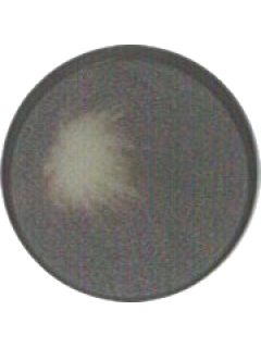 Button 322