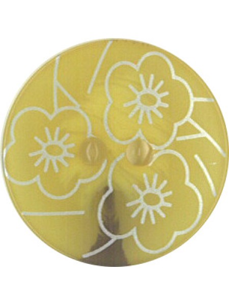 Button 560