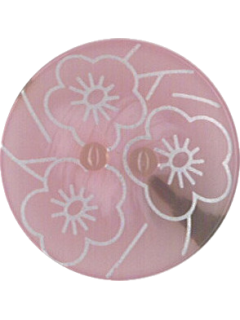 Button 565