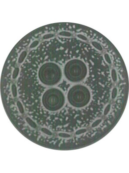 Button 636
