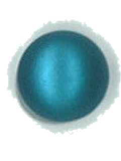 Button 494
