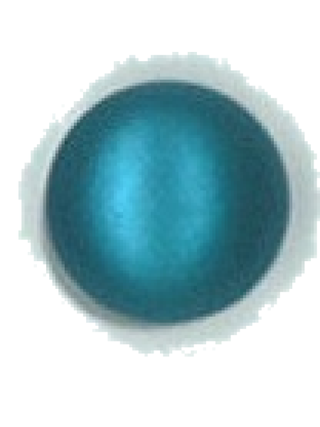 Button 494