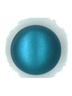Button 495 Button 495