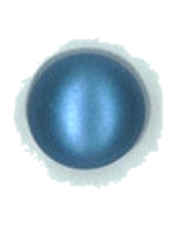 Button 496