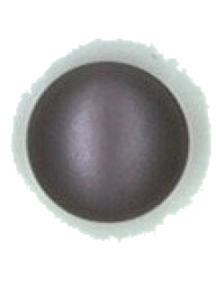 Button 501