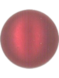 Button 605