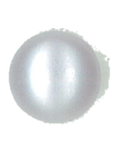 Button 829 Button 829