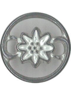 Button 270