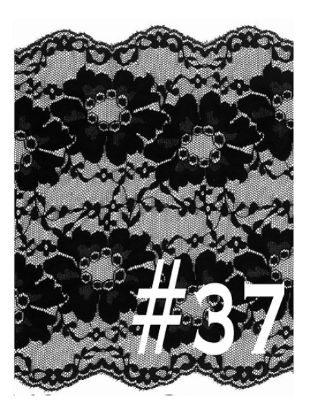 Lace #37